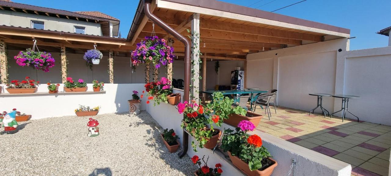 Apartamento Soliday Vama Veche Exterior foto